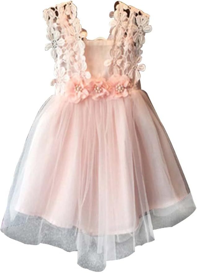 Baby Girls Sleeveless Lace Wedding Vintage Birthday Party Princess Flower Backless Dress | Amazon (US)