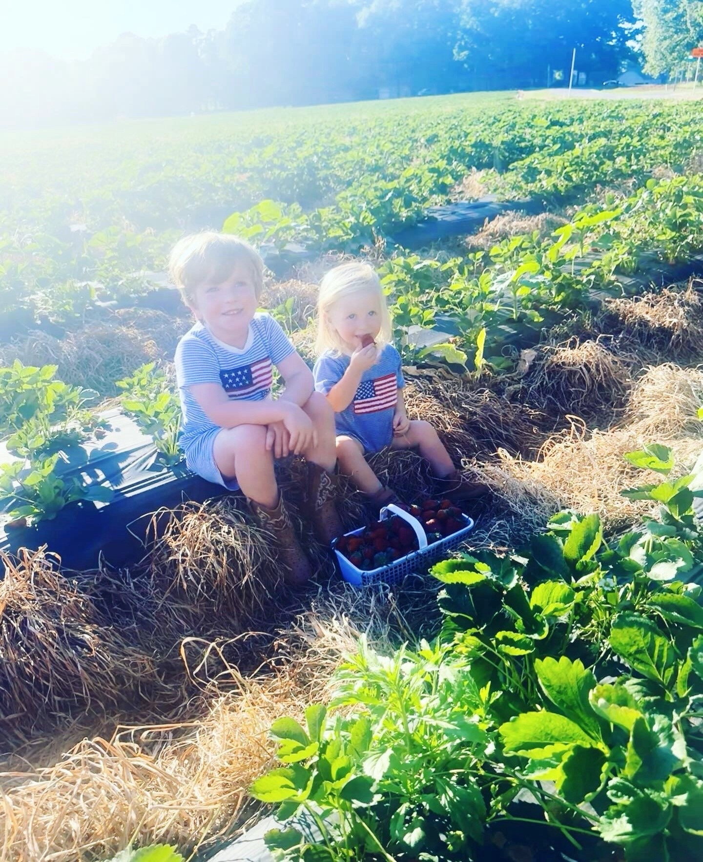 And just like that… it’s gonna be M A Y ❤️🤍💙 (cue the NSYNC song 🎶 hehe 🤭) and there’s just nothing sweeter 😉 than these two All-American 🇺🇸 overall 👖 wearing babies 👶🏼🩵👶🏼 in a strawberry 🍓 patch!! 🌱 H a p p y  M a y , y’all - my very favorite 🤩 month of the year (and both of these cuties’ birthday 🎂 months, too 🎈)!!! 🌸🌿 #happymayfirst #hellomay #welcomemay #maysweetness #maybabies