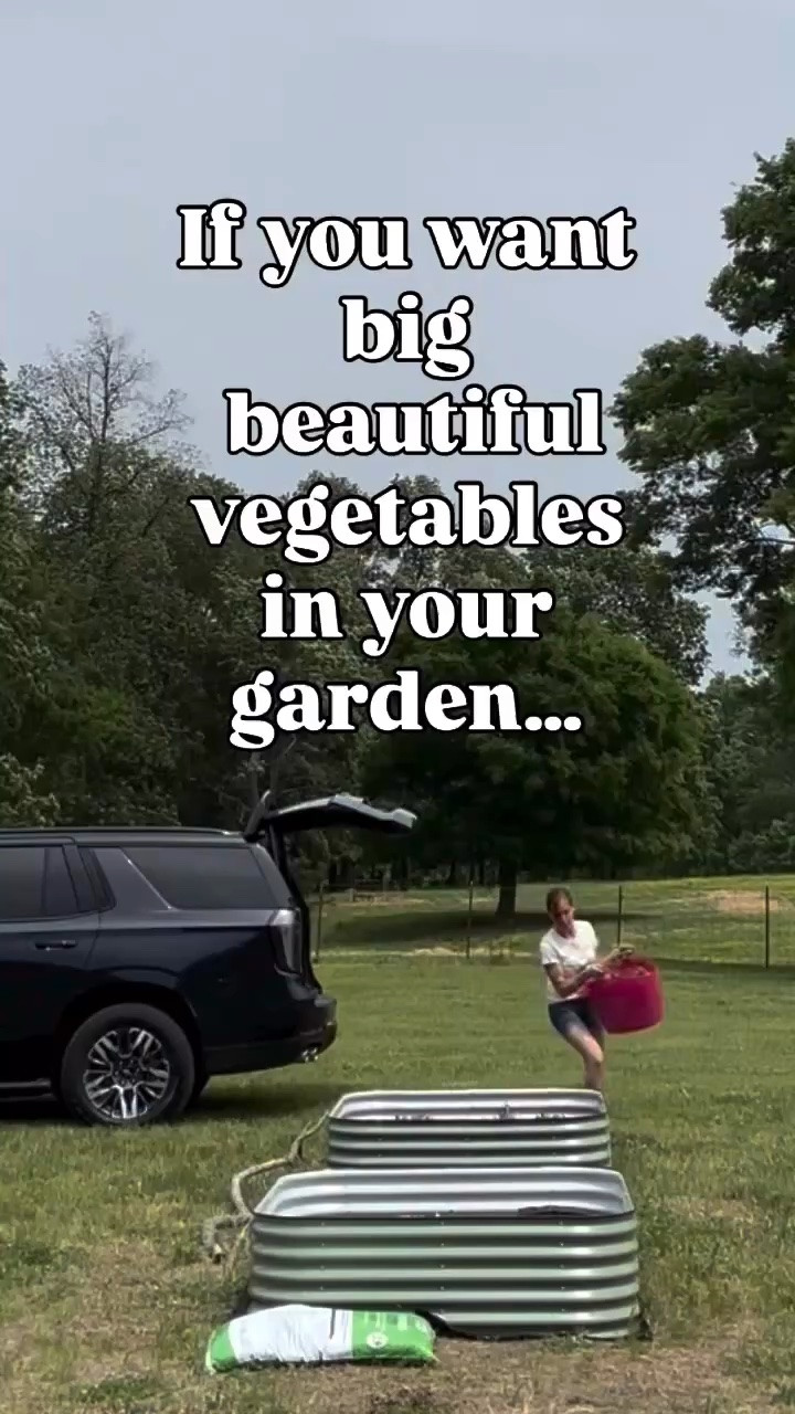 Garden Series

#LTKdayinmylife #LTKMothersDay #LTKSeasonal