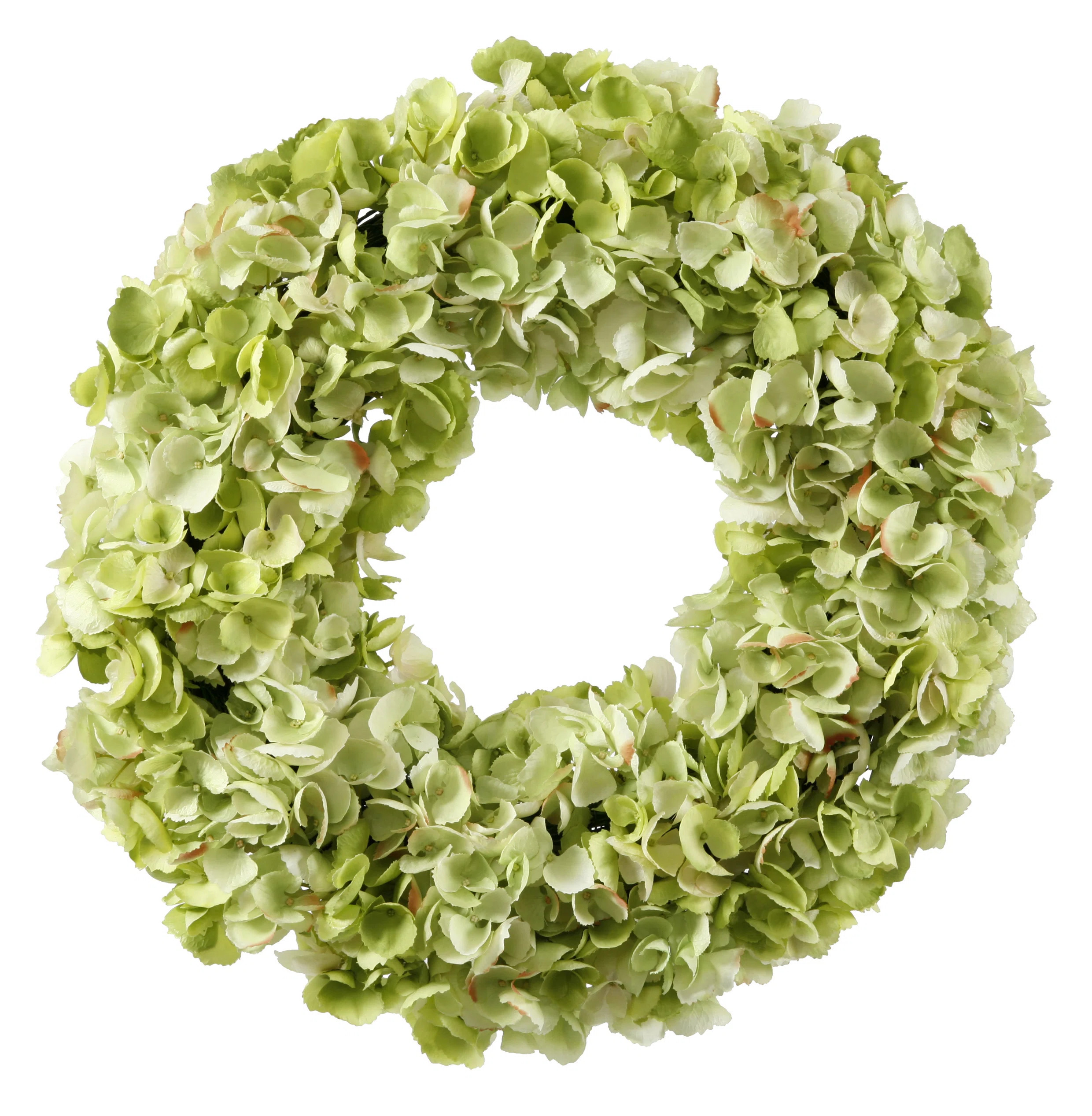 One Allium Way Hydrangea Wreath & Reviews | Wayfair | Wayfair North America