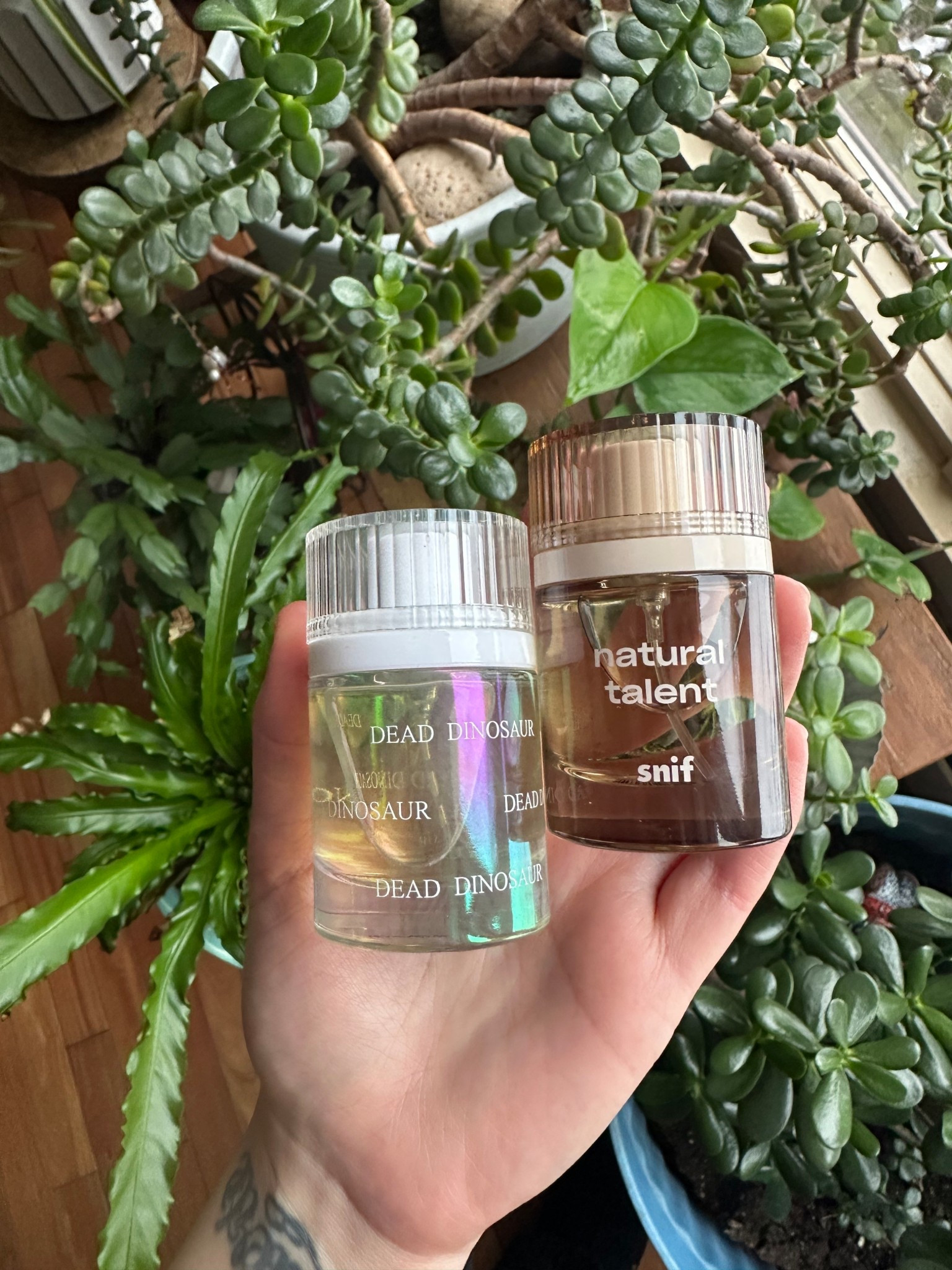 Snif Dead Dinosaur and Natural Talent perfumes - on sale for Black Friday/Cyber Monday. No Noses Fragrance. Gasoline Perfume.

#LTKGiftGuide #LTKCyberWeek #LTKHoliday