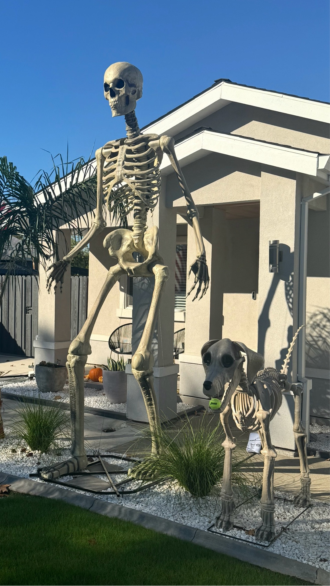 If you want the scariest (and coolest) house on the block this Halloween… you need this giant skeleton. It sells out every year—run to my LTK to snag it before it’s gone! 🏃‍♀️💀🎃

#LTKHalloween #LTKSeasonal #LTKHoliday