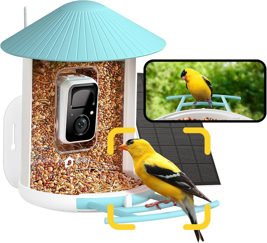 NETVUE by Birdfy Smart Bird Feeder with Camera – AI Identifies Birds Species 2MP Night Vision &... | Amazon (US)