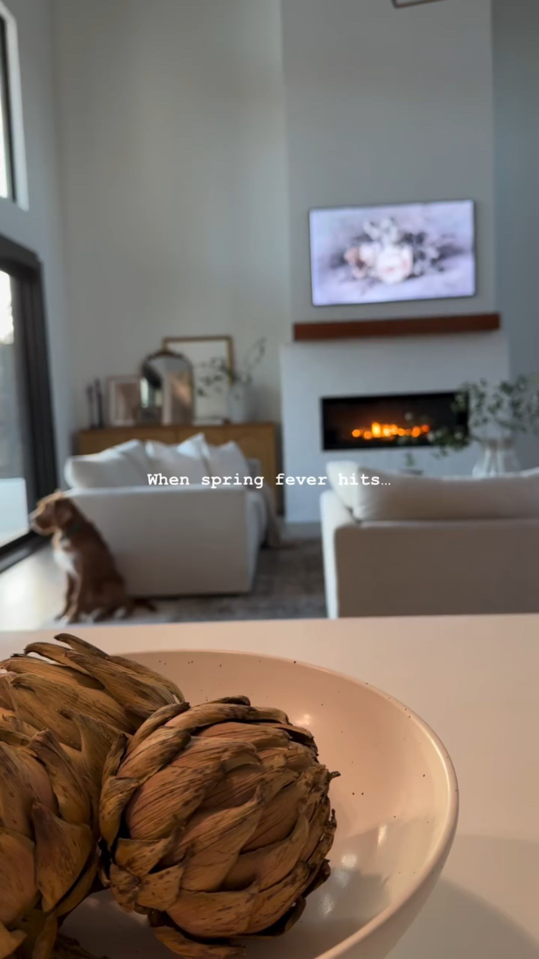 Is it still winter? Yes.
Am I buying florals like it’s May? Also yes. 
Fresh stems, fresh energy, fresh everything this season.

Comment “STEMS” below and I’ll DM you the links to everything🤍

#SpringHomeDecor
#NeutralHomeStyle
#SeasonalDecorRefresh
#HomeInspoDaily
#ltkhome