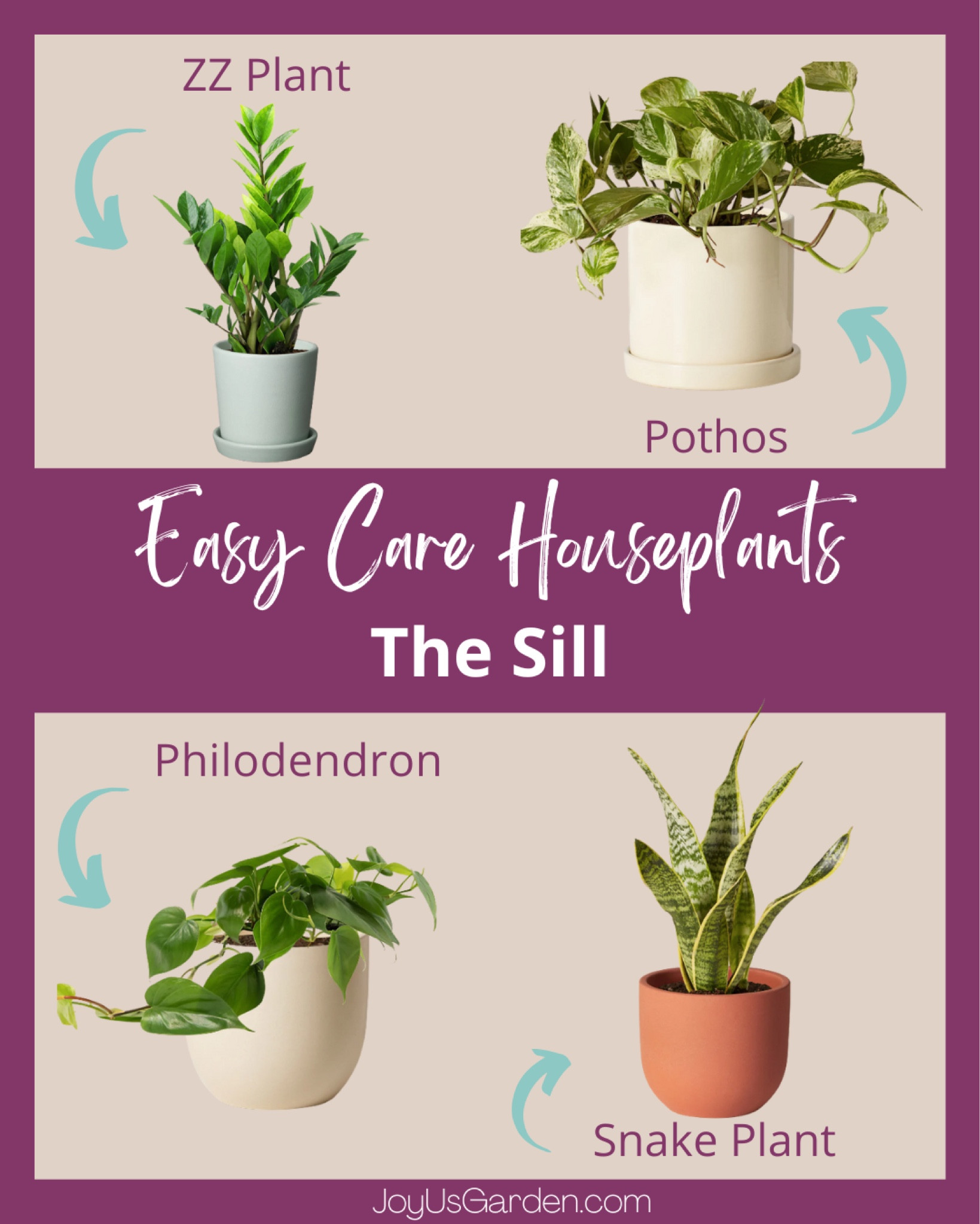 The Sill has a variety of houseplants and indoor plants. These are some of our favorites! #indoorplants #houseplants #indoorgardening #houseplants #plants #indoorplants #plantlover #houseplantclub #plant #plantlife #indoorjungle #plantmom #plantaddict #plantlove

#LTKhome #LTKFind