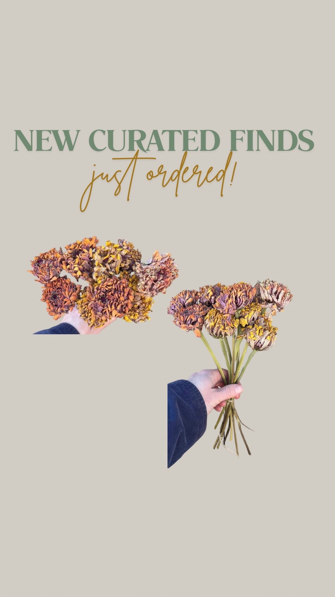 Just ordered these dried floowers! Only 1 left! Under $20! 

#LTKSaleAlert #LTKHome