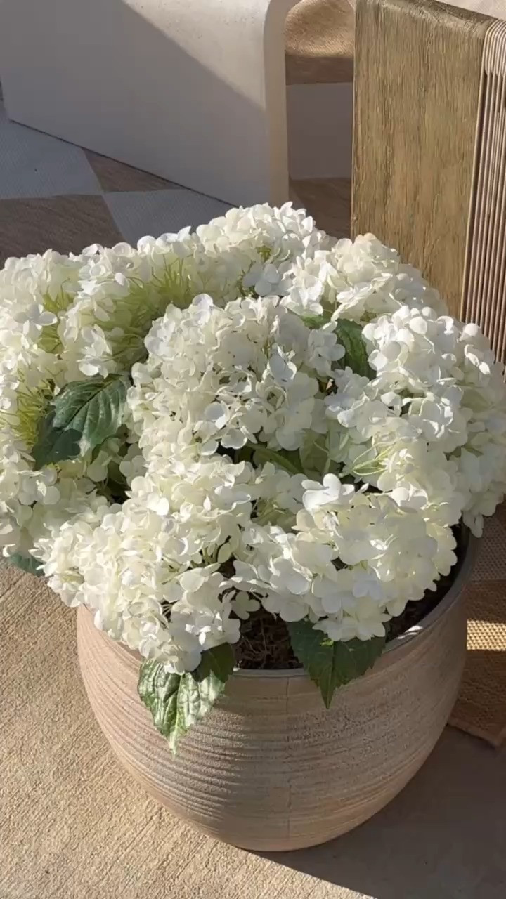 My patio at the moment🤍



Spring 2026, flowers, white roses, seasonal, home decor, sidneymarieduke 

 #LTKSeasonal #LTKHome