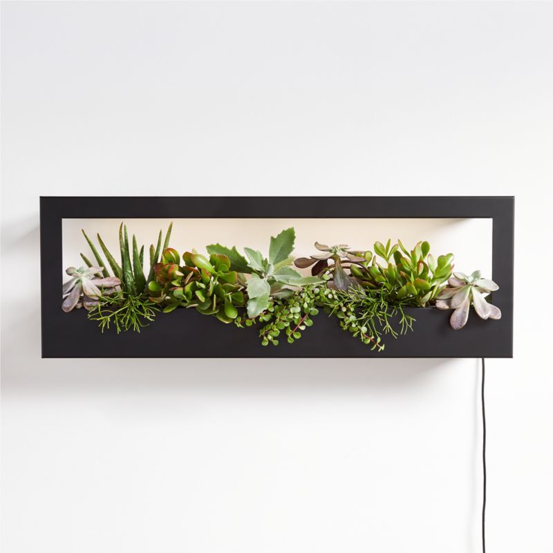 Modern Sprout Landscape Grow Frame + Reviews | Crate and Barrel | Crate & Barrel