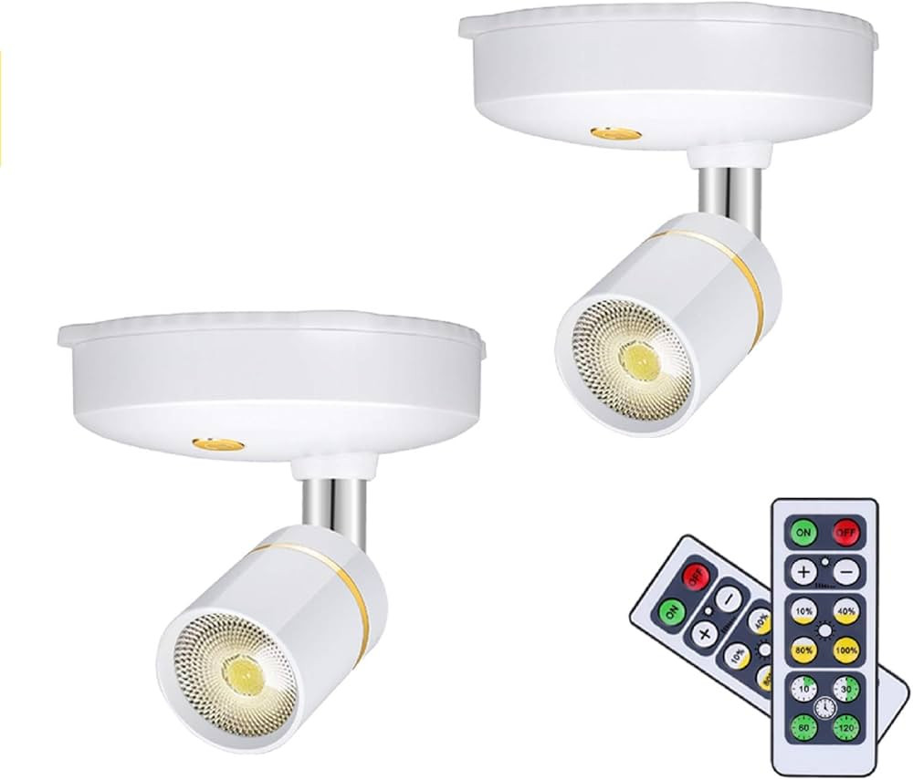 LEASTYLE Wireless Spot Lights Battery Operated Picture Lights Mini Accent Lights Indoor Dimmable ... | Amazon (US)