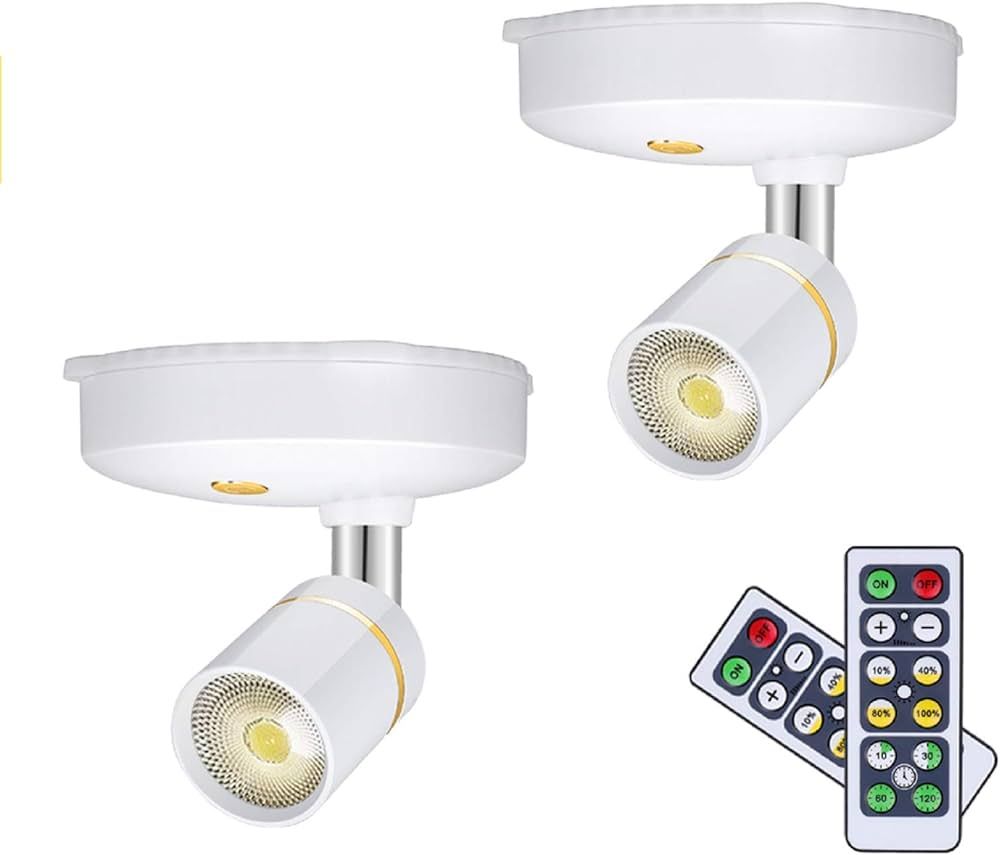 LEASTYLE Wireless Spot Lights Battery Operated Picture Lights Mini Accent Lights Indoor Dimmable ... | Amazon (US)