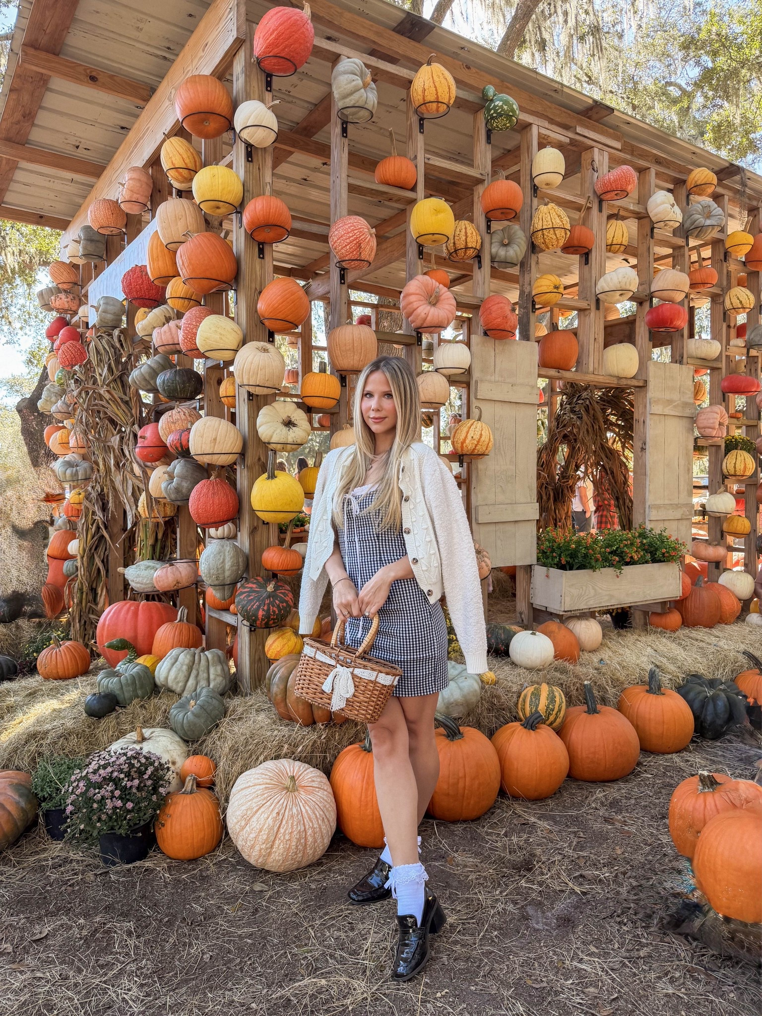 Pumpkin Patch outfit // gingham mini dress //fall outfit //loafers 

#LTKShoeCrush #LTKHalloween #LTKSeasonal