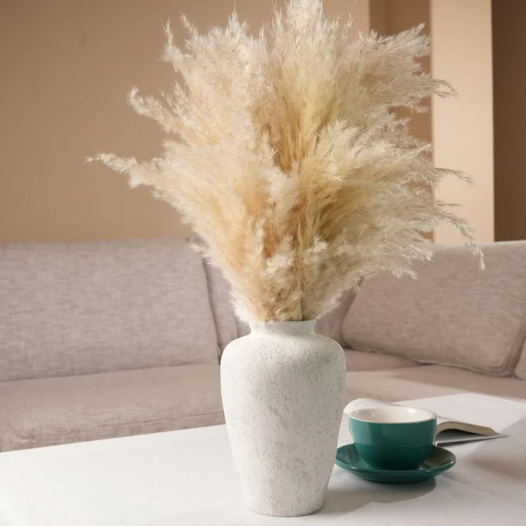Home Decor Collection 22-Inch Pampas Grass Arrangement in Natural Ceramic Vase for Modern or Boho... | Walmart (US)