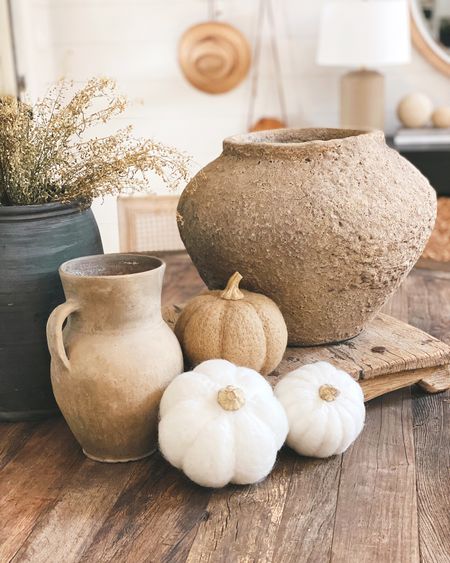 Amazon affordable wool pumpkins to bring Fall into your home and tablescape 🍂 #amazon #fall #pumpkins #pumpkin #affordable #wool #diningtable

#LTKhome #LTKSeasonal #LTKstyletip