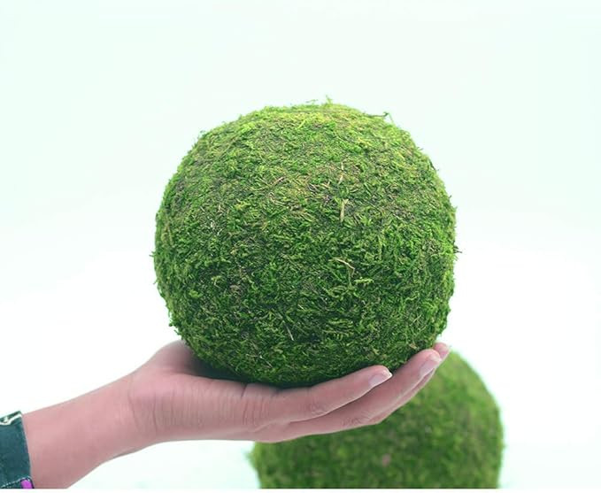 Nice purchase Handmade Natural Green Plant Moss Balls Decorative for Home Party Display Decor Pro... | Amazon (US)