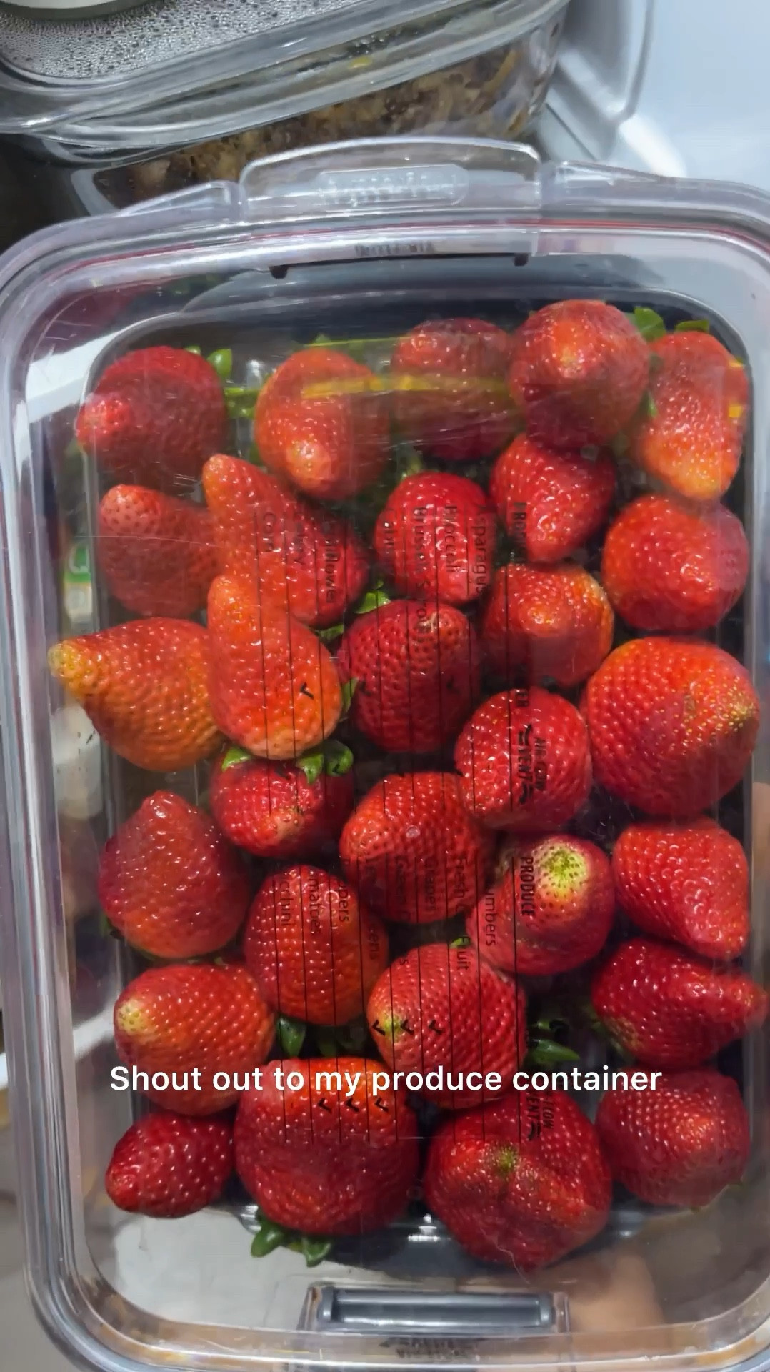 Shoutout to our favorite produce storage containers! Check out how well our strawberries did in this refrigerator produce container! Berries, grapes, even fresh cut fruits last so much longer in these clear produce organizers. 

Everything stays fresh and stored at in its optimal conditions - with air flow vents that can be closed airtight or left open for air flow depending on the needs of the food you’re storing. Additionally, things that need extra humidity get it via a water tray or otherwise produce stays high and dry in water draining / colander style straining containers. 

You can choose to wash your produce first and then store (this is what I do with all the fruits my kids love to snack on) wash first so it’s ready to eat! 
OR 
Choose to wash your produce items when you’re ready to use them. Often times I store veggies unwashed and then wash them in the container (that strains off water) then use as needed. 

You can even store cut produce in these boxes too! The excess juice run off into the drip tray to keep fruit from getting waterlogged. 

I cannot sing their praises enough because they keep the fresh produce accessible and visible in the refrigerator so my kids eat it all before it goes to waste. This is must have for kitchen organization!

#LTKHome #LTKFindsUnder100 #LTKVideo