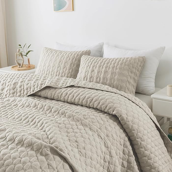 WDCOZY Light Beige Quilts Queen Size Bedding Set with 2 Pillow Shams, Lightweight Soft Full Bedsp... | Amazon (US)