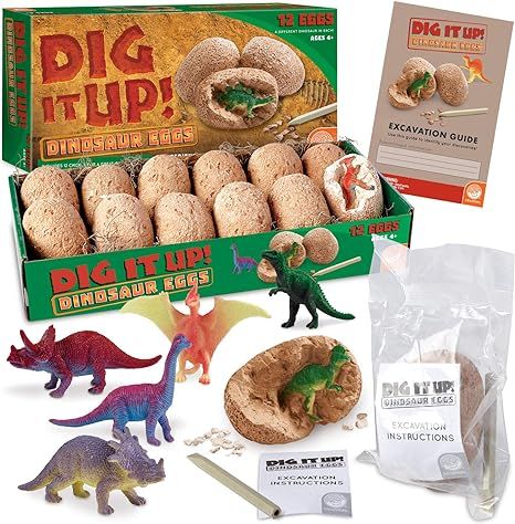 Amazon.com: MindWare Dig It Up! Dinosaur eggs excavation kit : Toys & Games | Amazon (US)