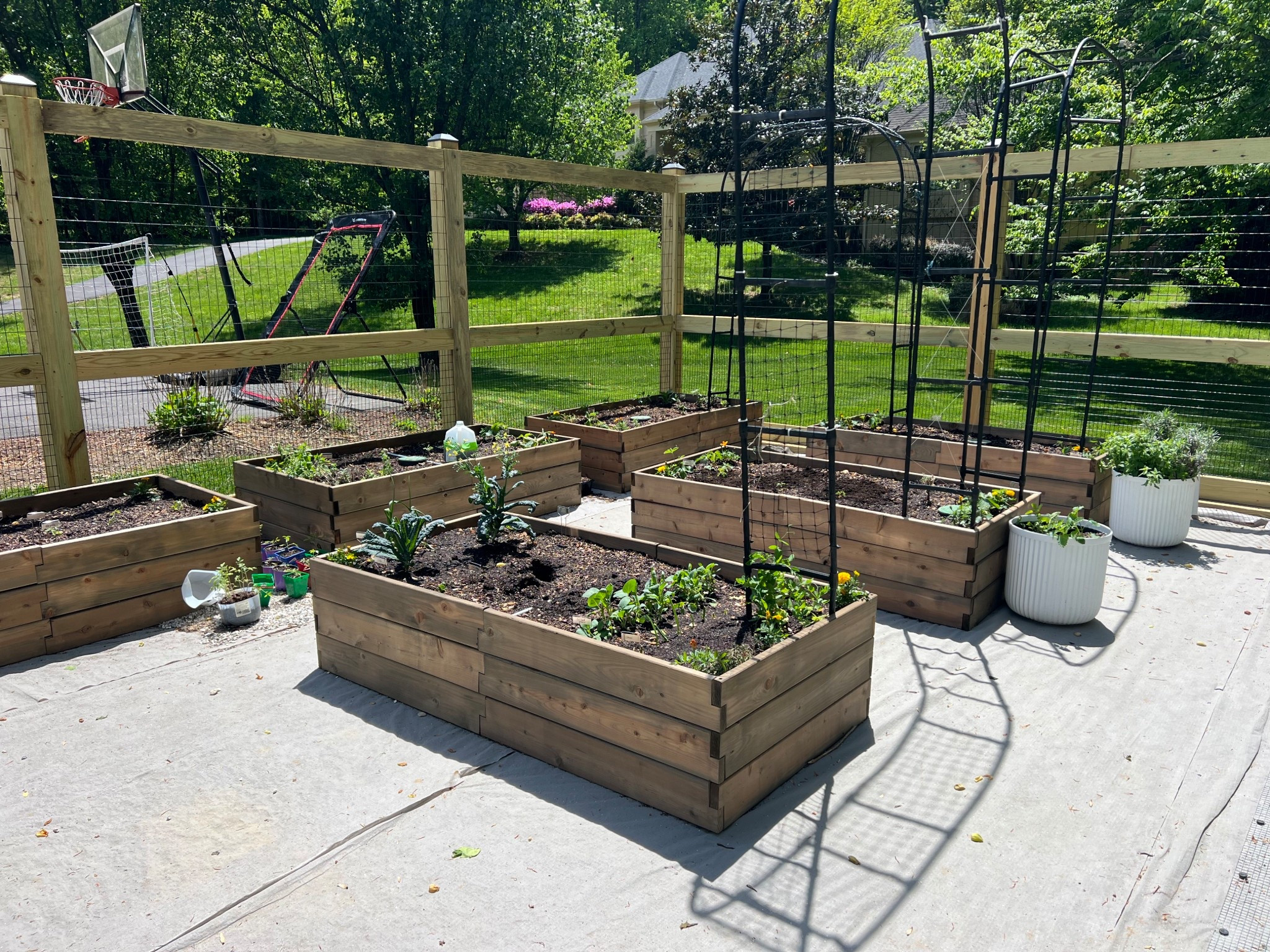 Garden progress 
