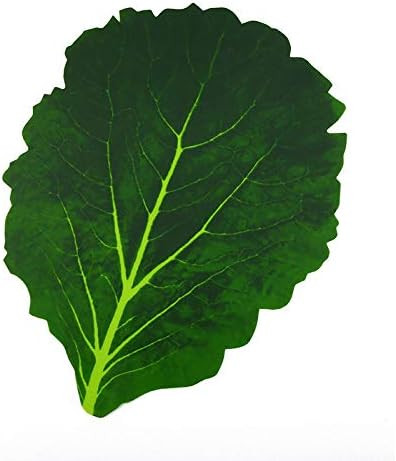 Visit the ZHDOKA Store | Amazon (US)