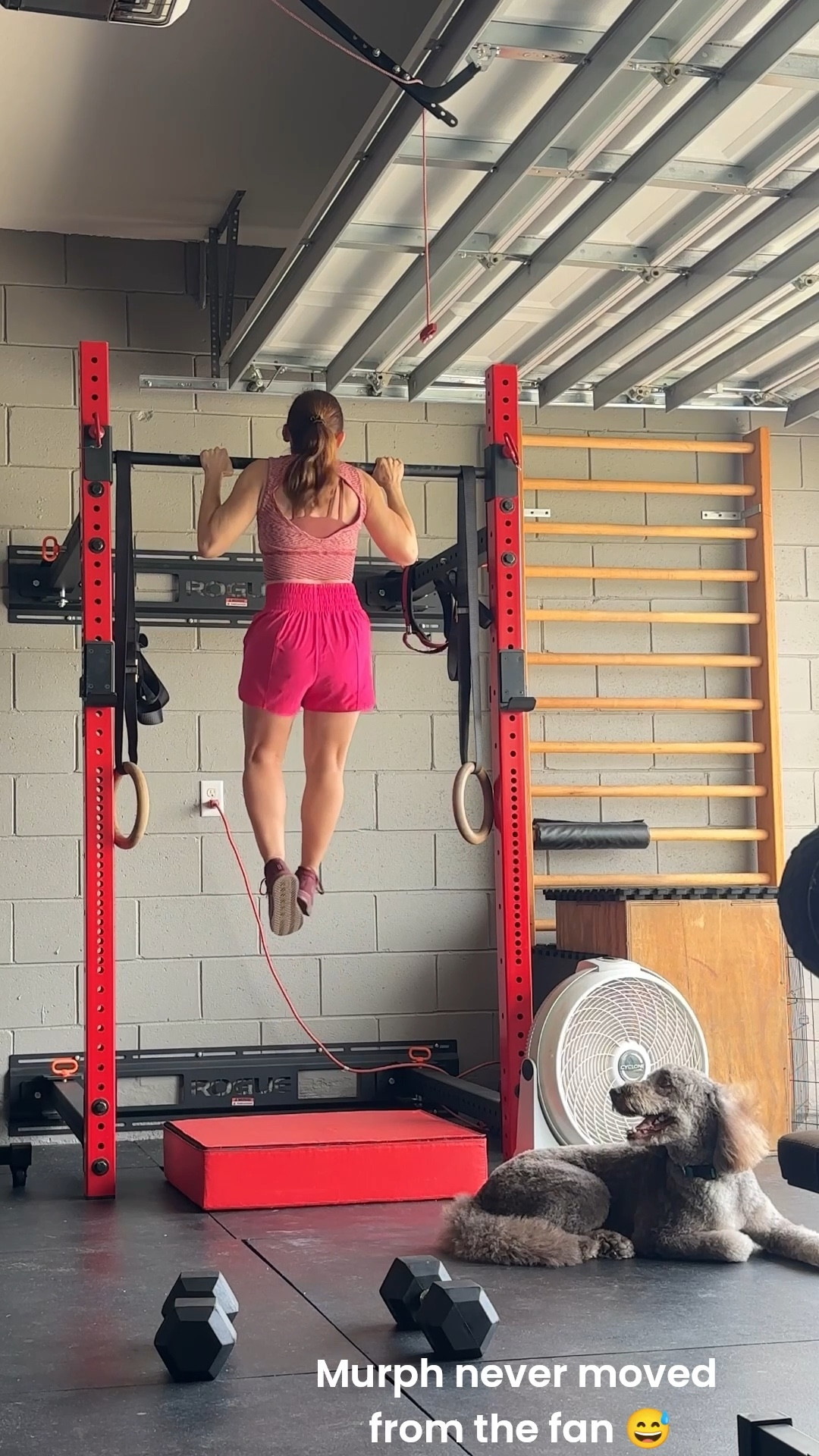 Pink shorts from Target

#LTKFindsUnder50 #LTKPetite #LTKActive