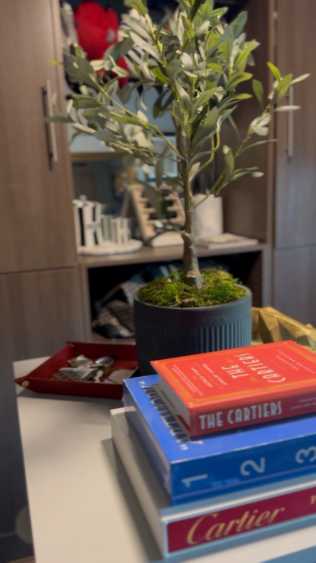 Amazon finds for my closet #amazonfinds #amazonhome #amazoncloset #olivetree #topiary #books #cartier #offwhite 

#LTKhome #LTKFind #LTKstyletip