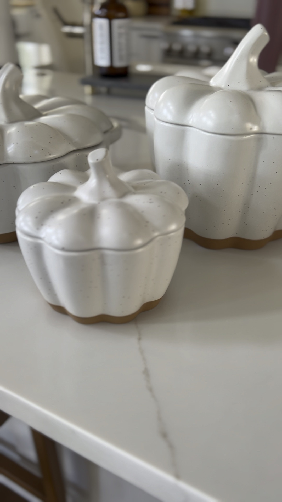 I am putting together a fall/Thanksgiving tablescape and I grabbed these today at target! They are so cute and a really good size for serving pieces/dishes. They are stoneware white pumpkins with a speckled and two tone design and bonus! They are oven safe microwave safe and dishwasher safe. They would be perfect for your fall kitchen as countertop accents or open shelving decor. Or you can use them on your table like I plan to!

#LTKVideo #LTKSeasonal #LTKHome