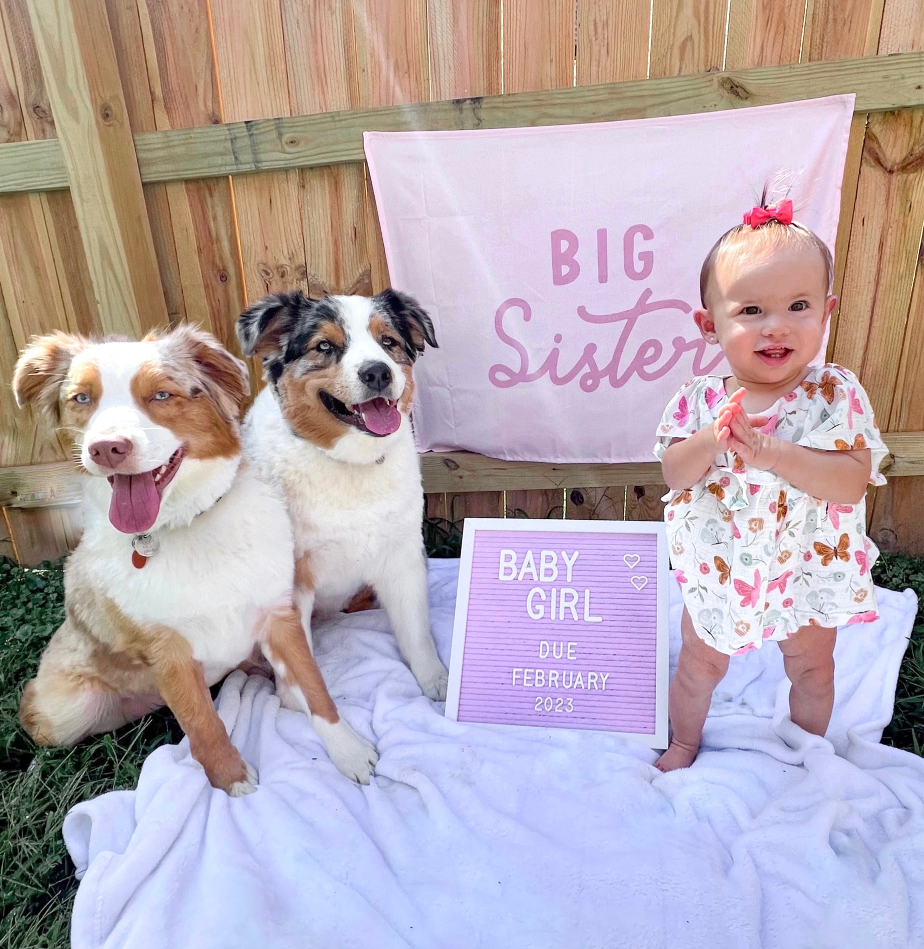 big sister announcement!

big sister, pregnancy announcement, sister, soon to be big sister, pregnancy, sisters, baby, new baby, pregnancy sign, big sister sign, we’re pregnant

#LTKkids #LTKbaby #LTKfamily