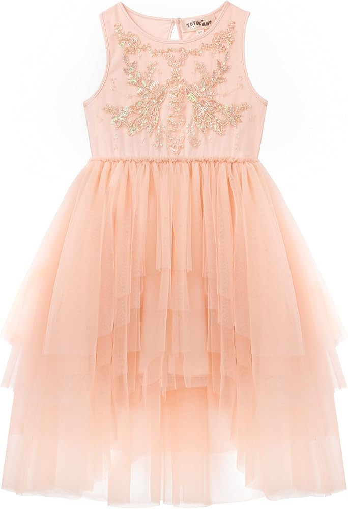 Tutu Dress for Girls - Embroidered Tulle Tiered Layered Flower Toddler Dress for Wedding & Birthd... | Amazon (US)