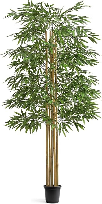 Maia Shop 71in Artificial Bamboo Tree Plant for House, Apartment or Office – Realistic Fake Ind... | Amazon (US)