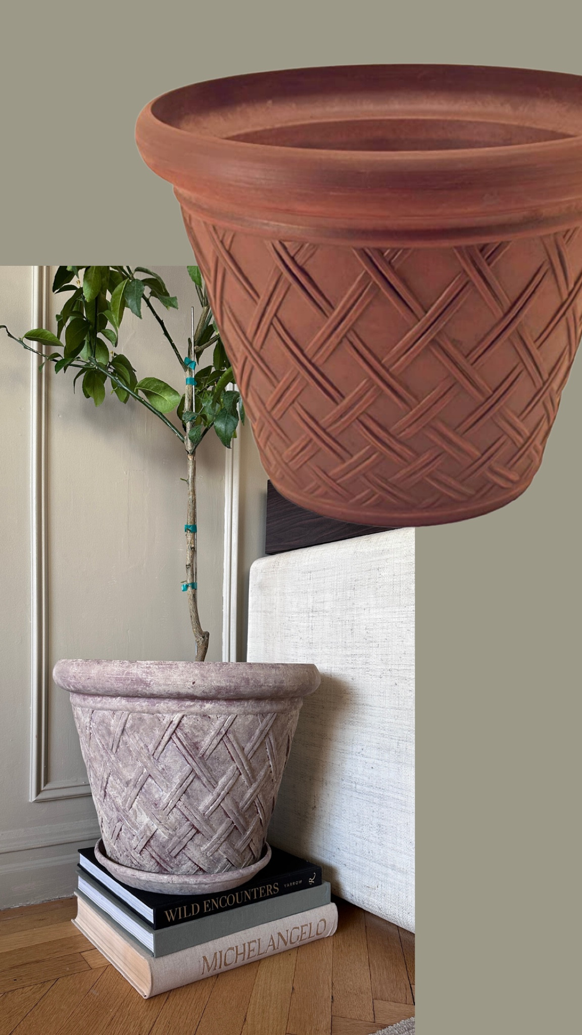 DIY pot 

#LTKhome #LTKunder100