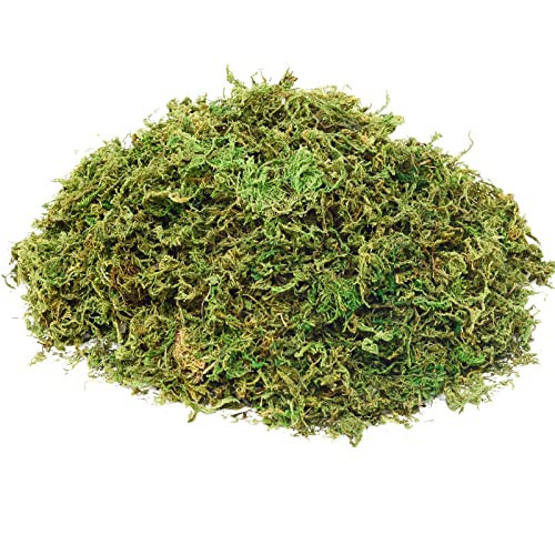 Fake Moss Artificial Moss for Potted Plants Greenery Moss(4OZ) Home Decor Fairy Garden Crafts Wedding Decoration (Fresh Green) | Amazon (US)
