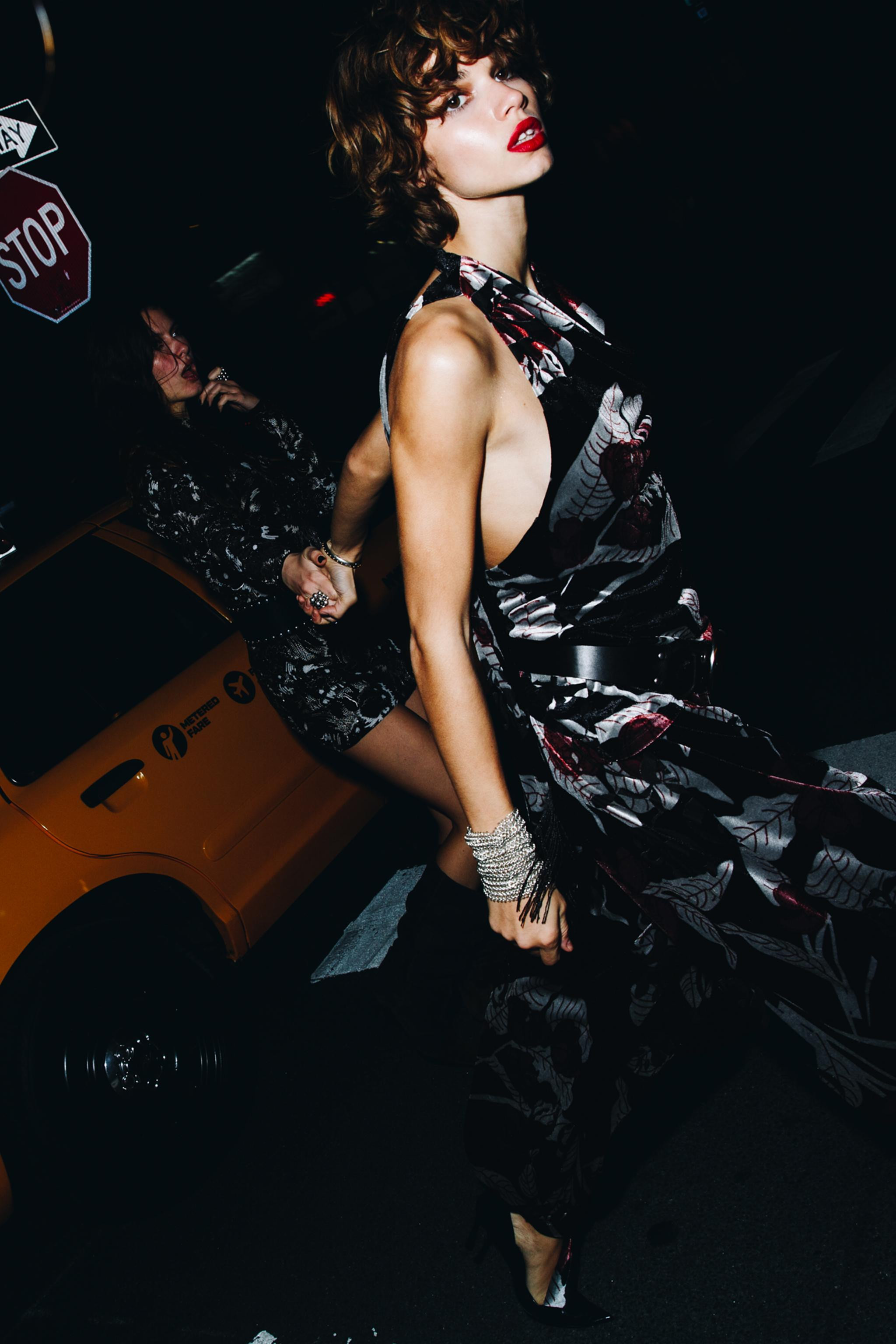 EMBROIDERED VELVET DRESS | Zara US