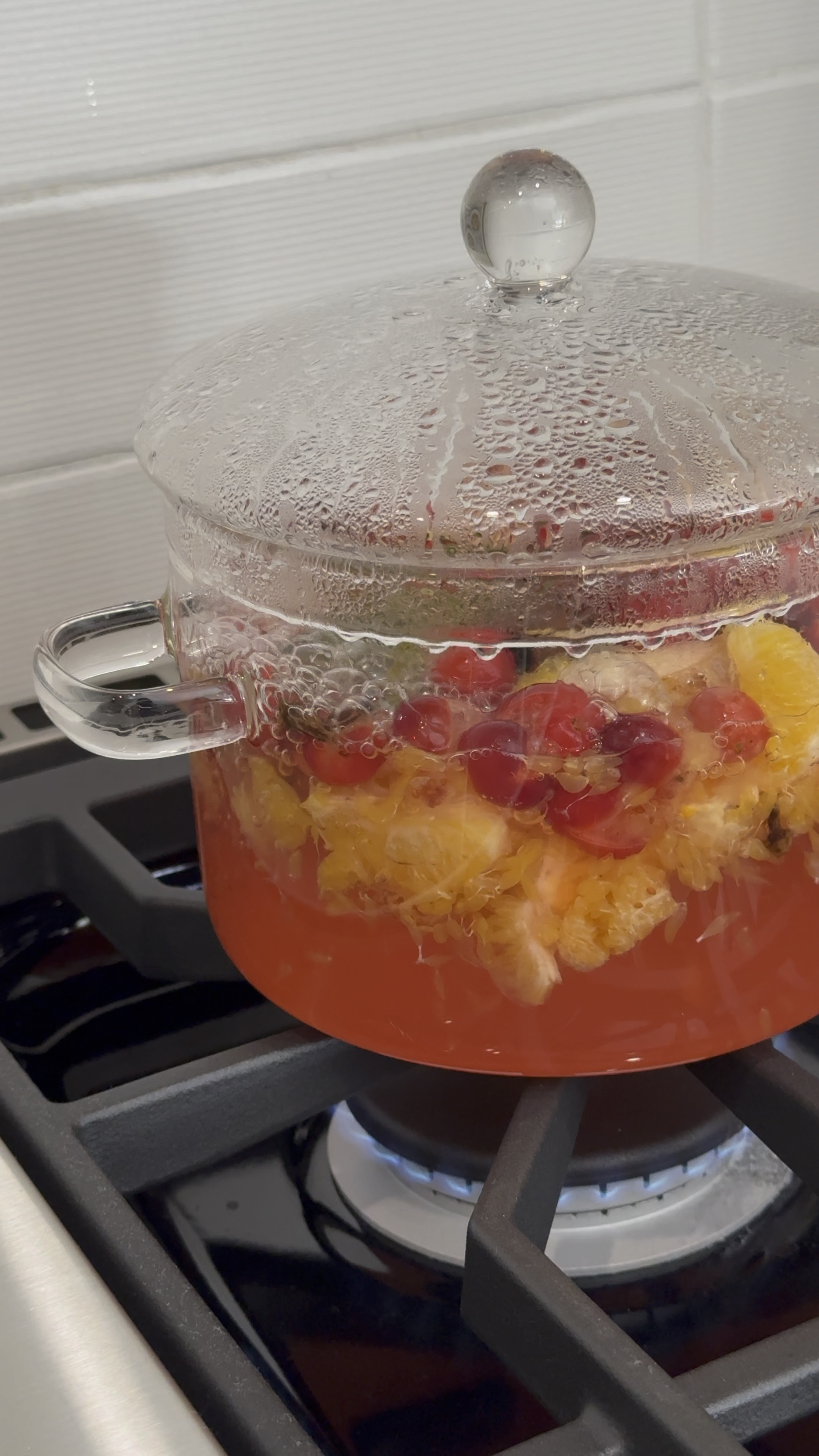 The cutest glass pot! Use it as a simmer pot, to make tea, grains, etc! 

#LTKhome #LTKGiftGuide