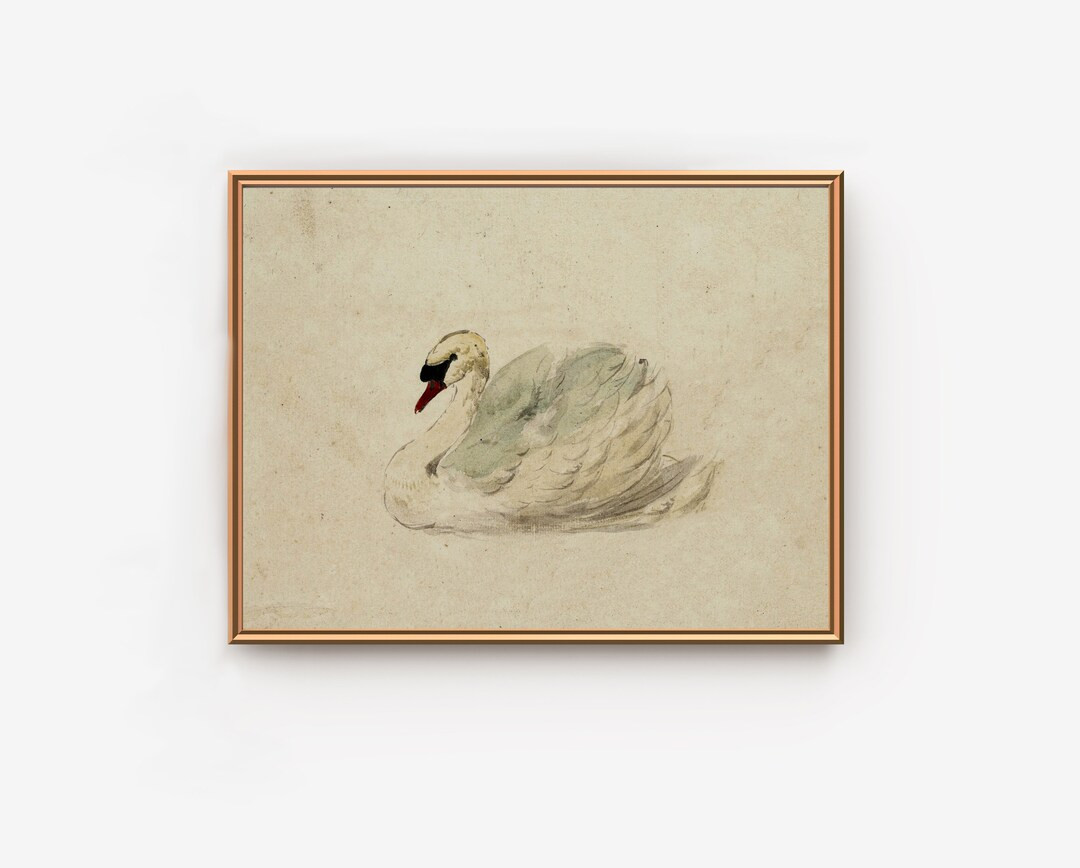Swan Painting Vintage Muted Neutral Bird Sketch Art Print Digital Download PRINTABLE - Etsy | Etsy (US)