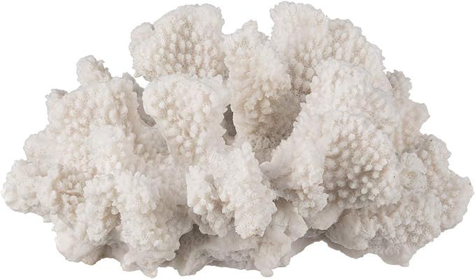White Coral Decor - Coral Sculpture - Faux Coral Decor Measures 7in x 7in x 4in - Coral Decoratio... | Amazon (US)