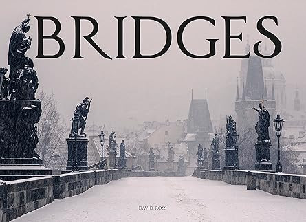 Bridges | Amazon (US)