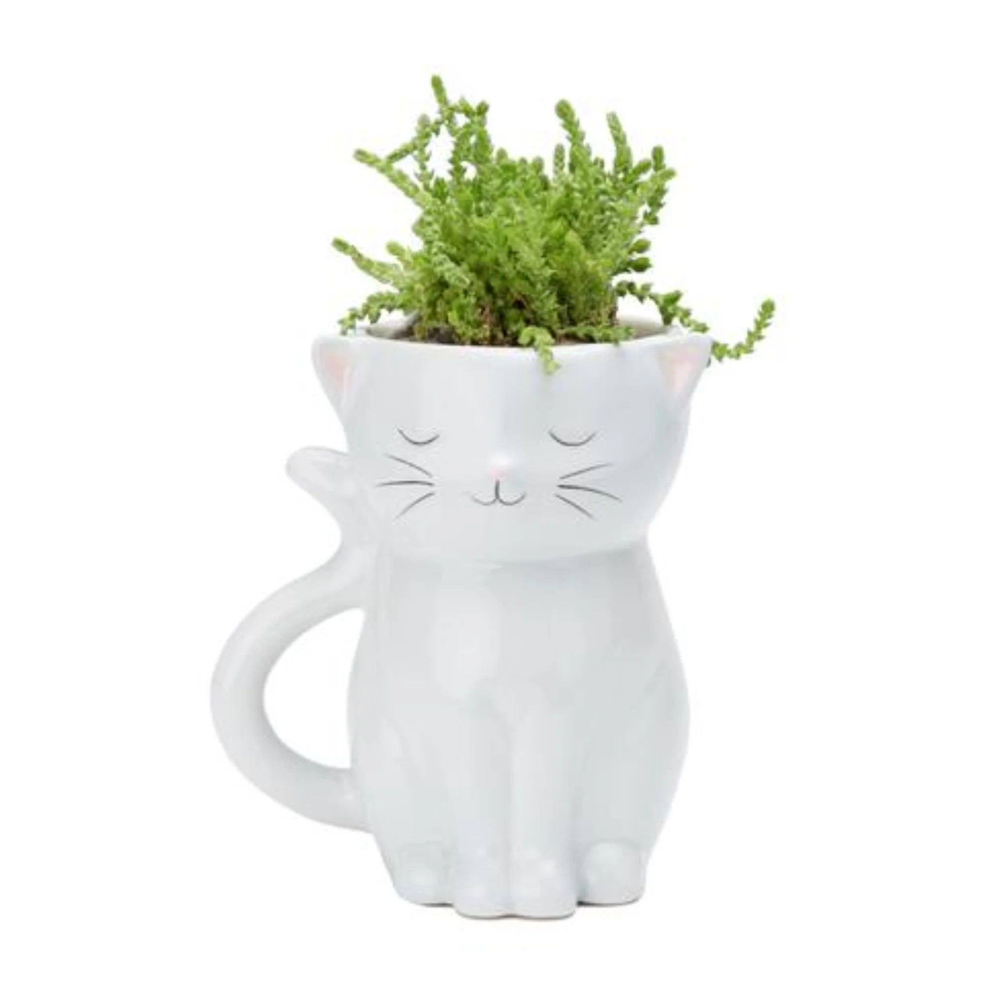 SWEETIE CAT PLANTER | Walmart (US)