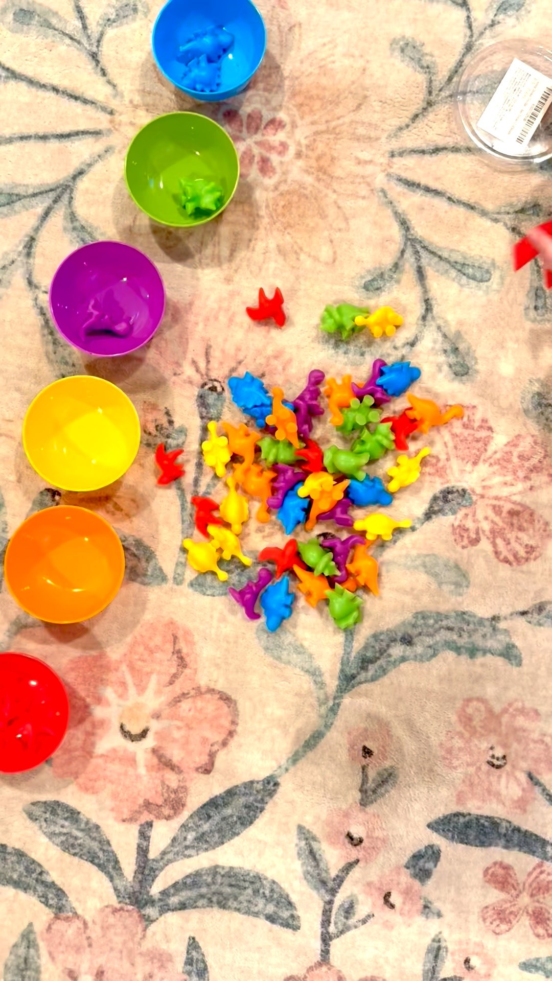 Are you looking for another indoor activity to keep your toddler occupied? These mini dinosaur sorting figures are a hit in our house as we take some much needed indoor time during the 2026 blizzard. If a toy promotes independence AND learning, I must have it! 

#amazontoys #toddlertoys #toddlerlearning 

#LTKKids #LTKdayinmylife #LTKmomlife