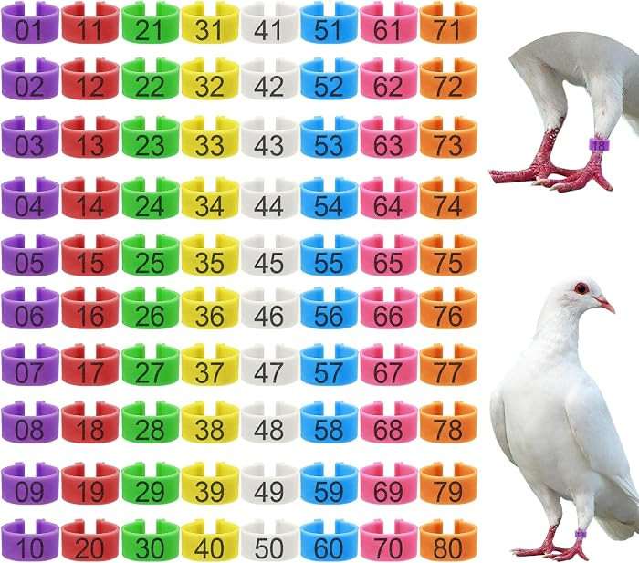 80 Pcs 8mm Pigeon Leg Bands with 8 Colors Numbered Quail Bird Identification Leg Bands Clip on Ba... | Amazon (US)