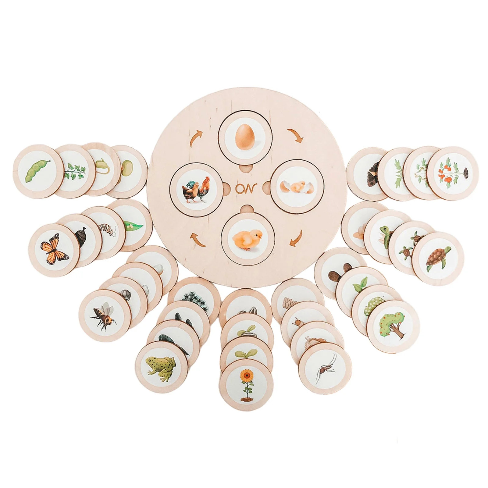 Life Cycle Puzzle | Life Cycle Puzzle Kit Of Animals, Plants And Insect| Toddler Puzzle Developme... | Walmart (US)