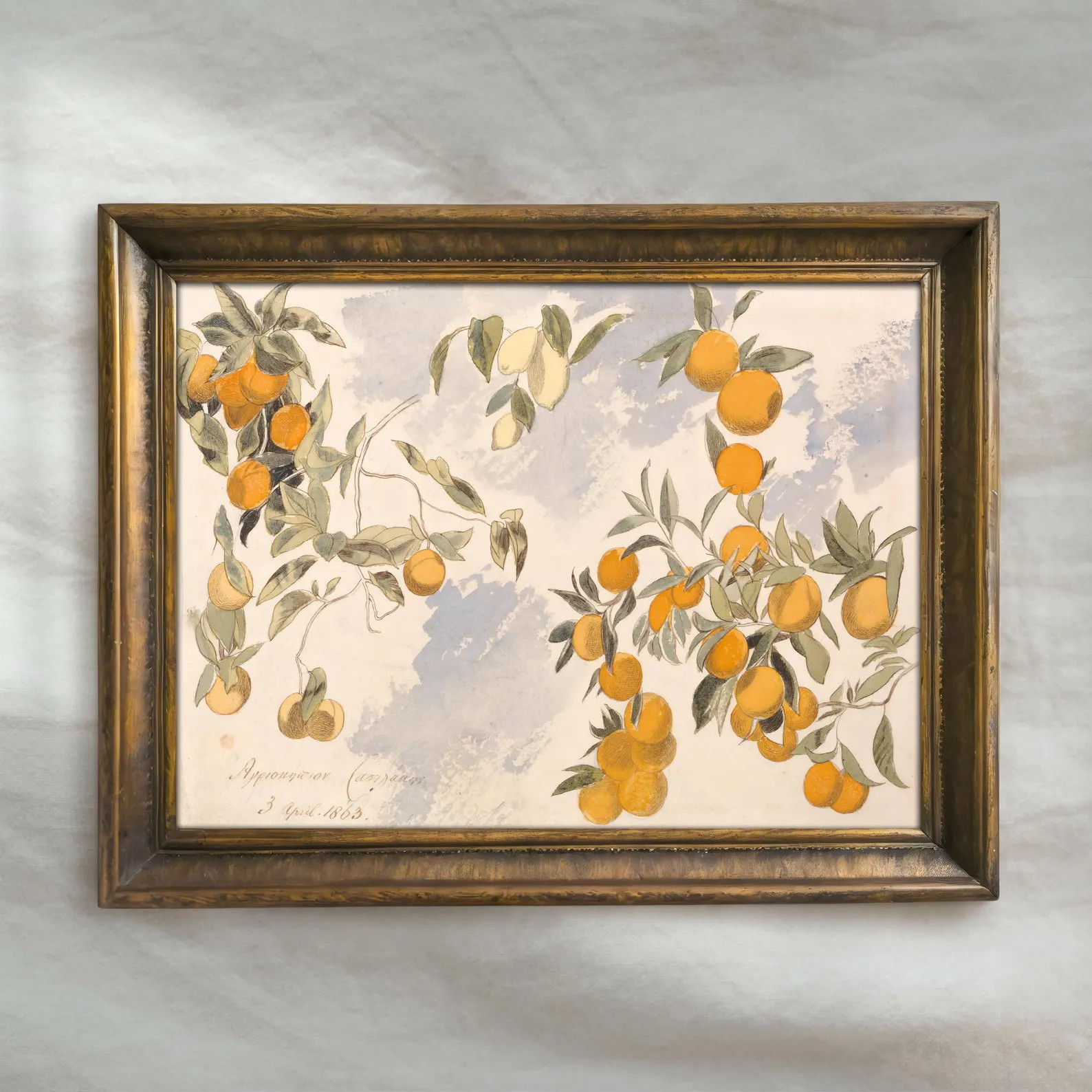 Vintage Orange Botanical Painting | Antique Citrus Illustration Artwork | Classic Kitchen Fruit W... | Etsy (US)