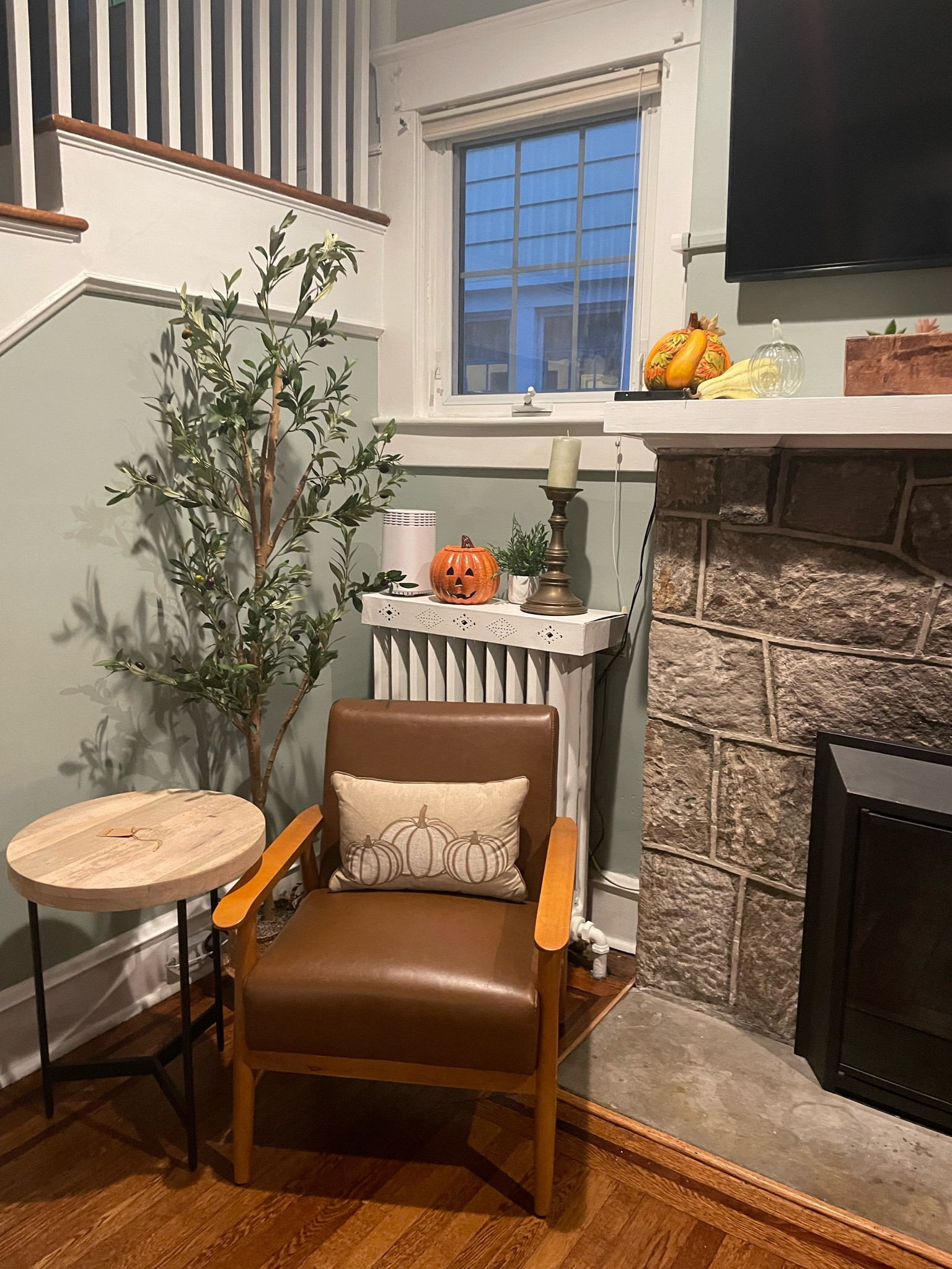 Amazon olive tree!

#LTKfindsunder100 #LTKhome #LTKHalloween