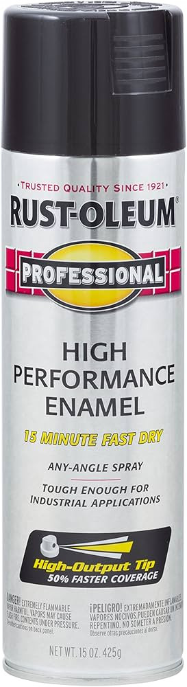Rust-Oleum 7579838 Professional High Performance Enamel Spray Paint, 15 Oz, Gloss Black | Amazon (US)