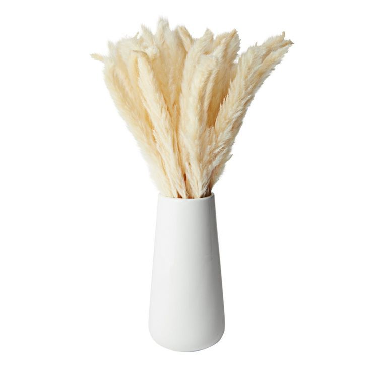 Farmlyn Creek 40 Pack Ivory Natural Dried Pampas Grass Branches with White Ceramic Vase, Plants f... | Target