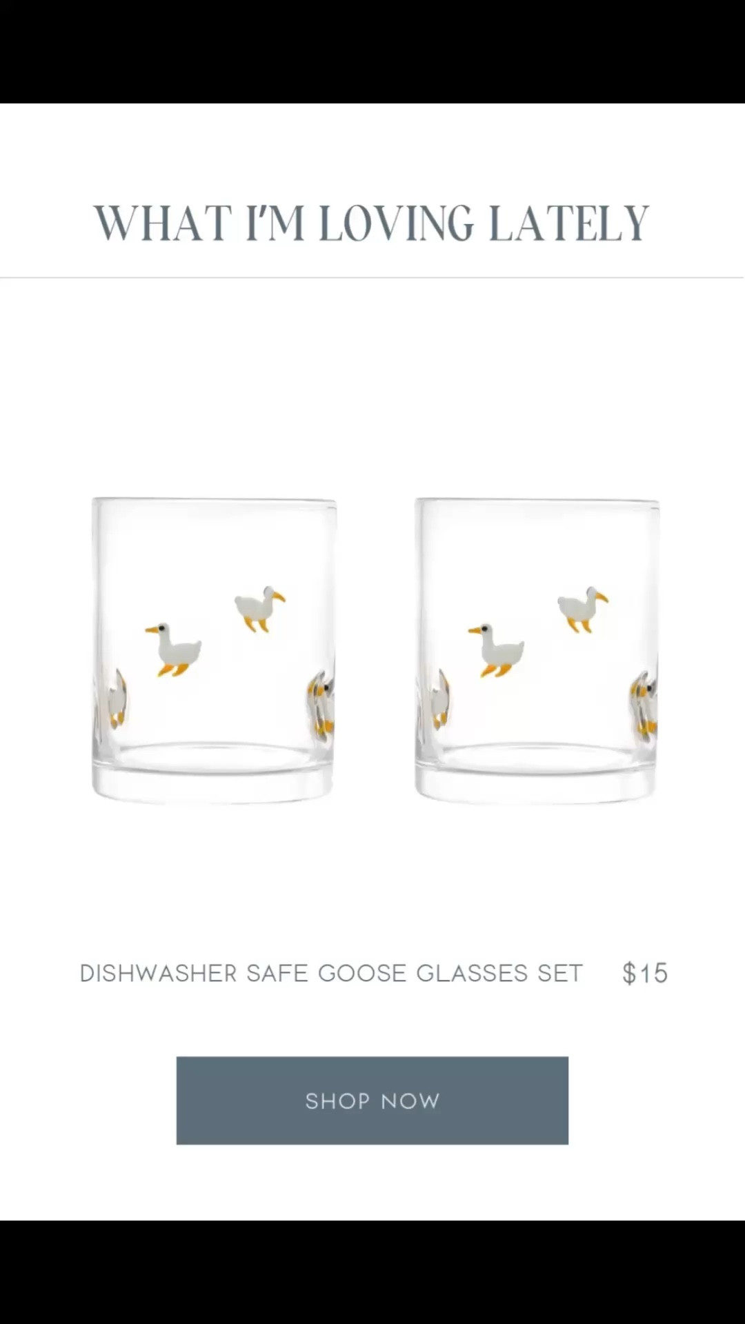 Have a silly goose in your life? These are the cutest goose glasses and they’re so perfect for spring! 

#LTKHome #LTKSaleAlert #LTKSeasonal