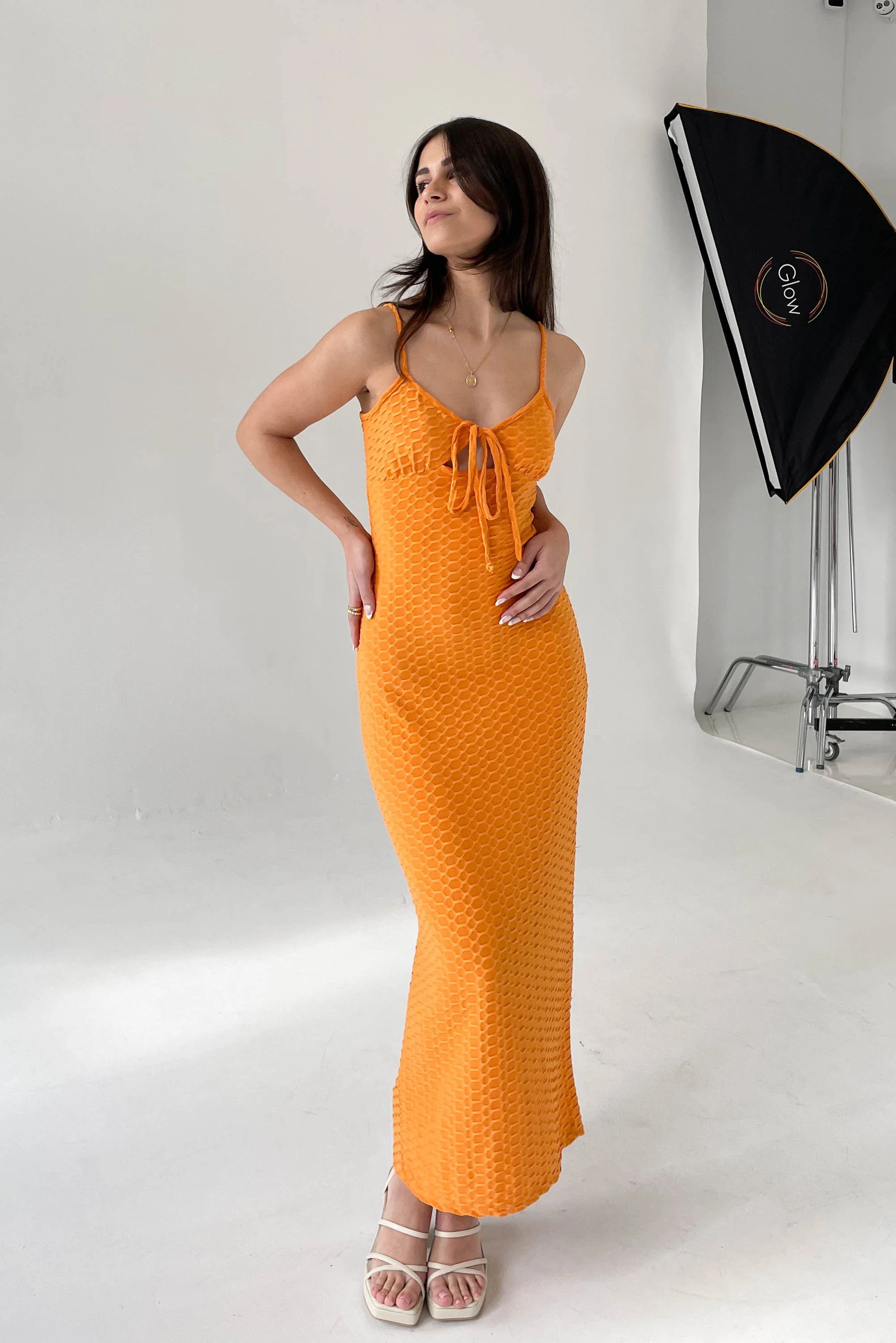 © Grey Bandit | Grey Bandit