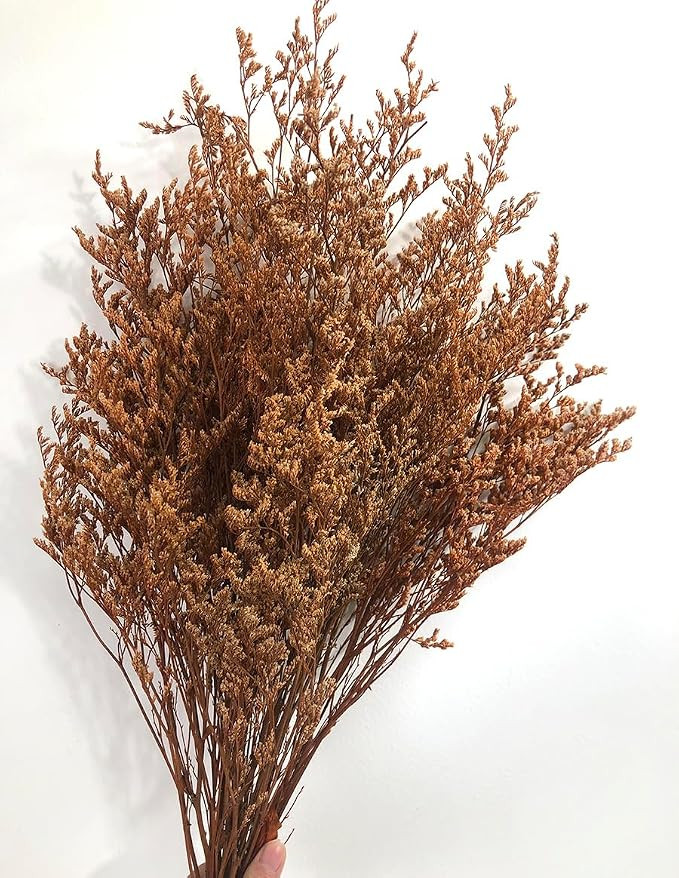 Preserved Valentine Grass Natural Limonium Bouquet, Real Caspia Bellidifolium, Sea Lavender for W... | Amazon (US)