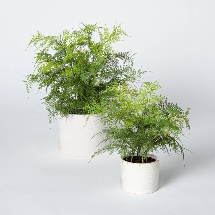 Artificial Fern Plant in Pot Green/White - Threshold™ designed with Studio McGee | Target