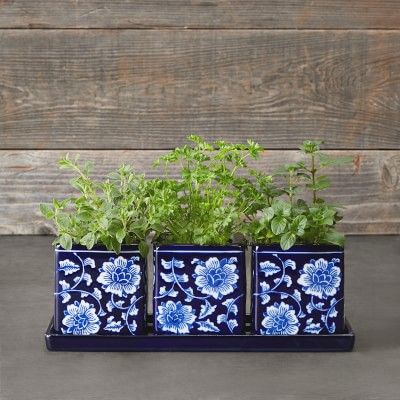 Blue & White Ceramic Herb Tray with Pots, Set of 3 | Williams-Sonoma