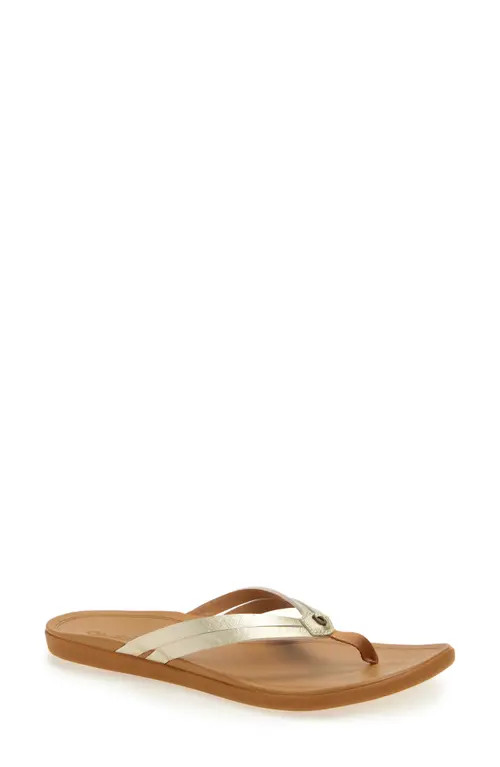 OluKai Ho Opio Hui Flip Flop in Bubbly /Sahara at Nordstrom, Size 10 | Nordstrom